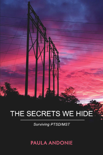 The Secrets We Hide The Secrets We Hide