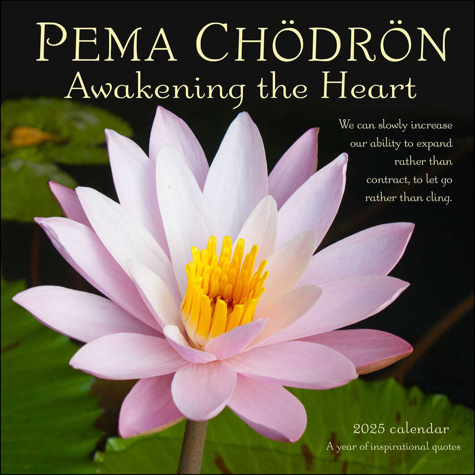 Pema ChÃ¶drÃ¶n 2025 Wall Calendar