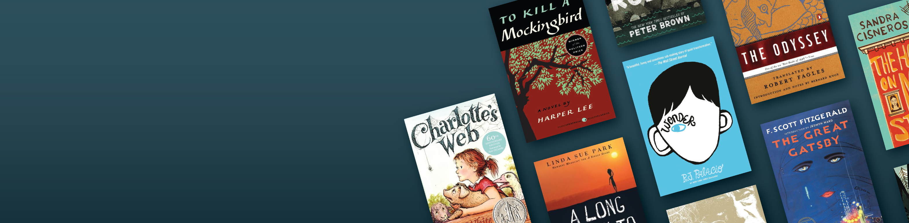 Business books in bulk