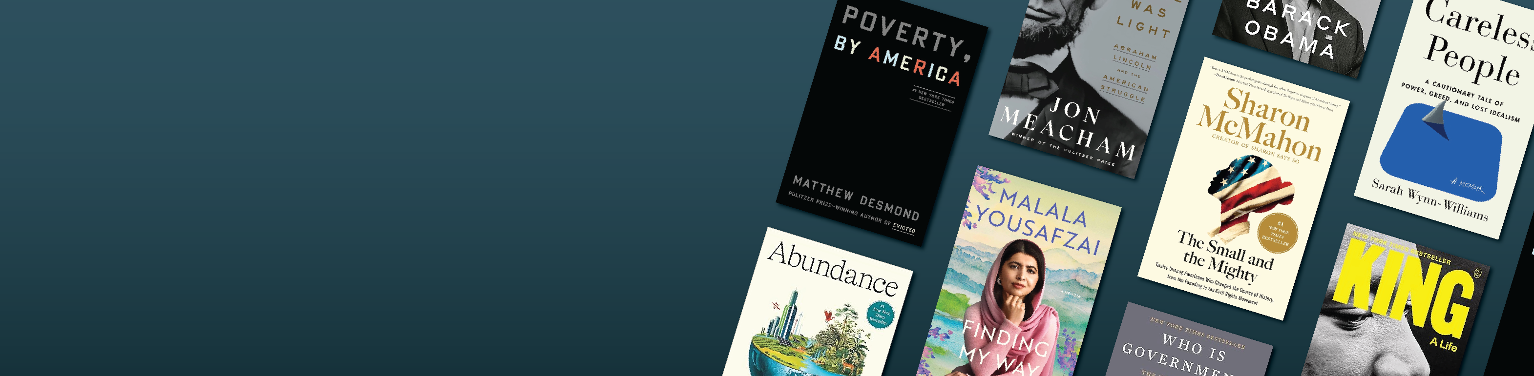 Political Books in bulk