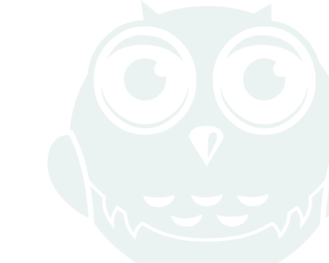 white owl icon