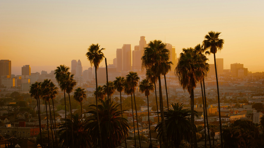 Where to Shop for Laboratory Supplies in Los Angeles, CA: A Comprehensive Guide