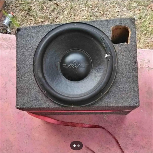 Skar Audio Subwoofer w/Very Unique Custom Ported Box & Ratchet Strap