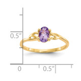 14k Amethyst Birthstone Ring - XB-58CAE14A-7728
