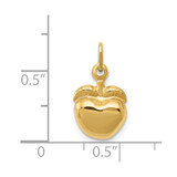 14k Apple Charm - C3-09C9BFFE-4791