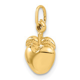 14k Apple Charm - C3-09C9BFFE-4791