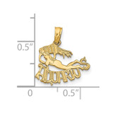 14K AQUARIUS Zodiac Charm