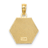 14K Caduceus Textured Back Medical Charm