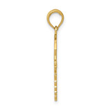 14k Caduceus w/Nurses Cap Pendant