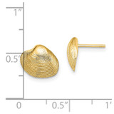 14K Clam Shell Post Earrings - TE-A0763FA9-2354