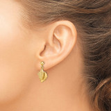 14K Conch Shell Dangle Earrings - TE-4C48319F-9511