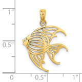 14K Cut-Out Angelfish Charm - K7-DA6AD727-8877