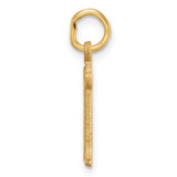 14K Diamond-cut Letter N Initial Charm