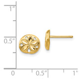 14K Diamond-cut Sand Dollar Earrings - TC-32749AD6-8011