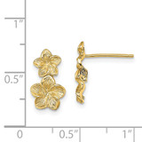 14K Double Plumeria Flower Post Dangle Earrings - TE-820C87EE-9685