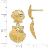 14K Double Scallop Shell Dangle Earrings