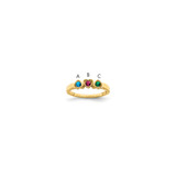 14k Family Jewelry Ring Mounting - XM-427F0D54-8996