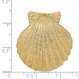14K Fits Up To 8mm and 10mm Medium Scallop Shell Slide - D9-11B44D79-3905