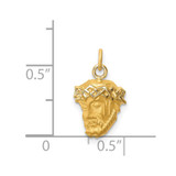 14k Hollow Polished/Satin Small Jesus Medal - XR-B56AB502-1091
