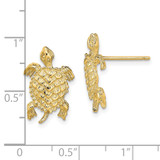 14K Land Turtle  Textured Post Earrings