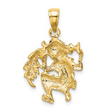 14k Large Aquarius Zodiac Charm