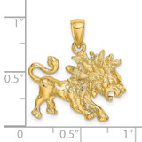 14k Large Leo Zodiac Charm