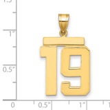 14k Large Polished Number 19 Charm