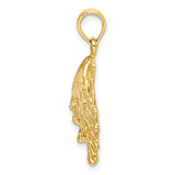 14K Lions Paw Shell Charm
