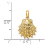 14K Lion's Paw Shell Charm - K8-A3A67775-6481