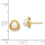 14k Madi K 4-5mm White Button Freshwater Cultured Pearl Post Earrings with Silicone Backs - SE-1971EB9D-8597