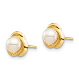 14k Madi K 4-5mm White Button Freshwater Cultured Pearl Post Earrings with Silicone Backs - SE-53B882C4-3676