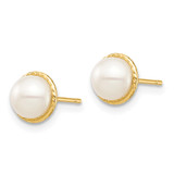 14k Madi K 5-6mm White Button Freshwater Cultured Pearl Post Earrings with Silicone Backs