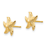 14k Madi K Starfish Post Earrings - SE-2705D4BD-4519