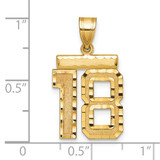 14k Medium Diamond-cut Number 18 Charm