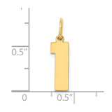 14k Medium Polished Number 1 Charm - LM-FFC7C840-6013