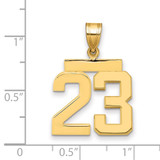 14k Medium Polished Number 23 Charm - MP-813D95EF-1753