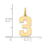 14k Medium Polished Number 3 Charm - LM-5E8B2D67-9357