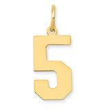 14k Medium Polished Number 5 Charm - LM-95D7427D-5731