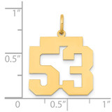 14k Medium Polished Number 53 Charm - LM-0FCF476A-2965