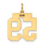 14k Medium Polished Number 59 Charm