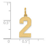 14k Medium Satin Number 2 Charm