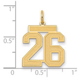 14k Medium Satin Number 26 Charm