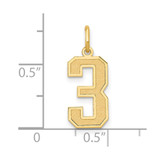 14k Medium Satin Number 3 Charm