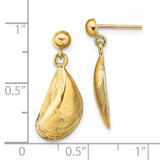 14K Mussel Shell Dangle Earrings