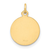 14k Our Lady Of The Assumption Medal Charm