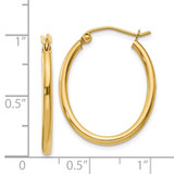 14k Oval Polished Hoop Earring - TA-023F1144-9992