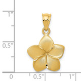 14k Plumeria Floral Charm Pendant - D3-4DAED9F6-3532