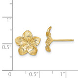 14K Plumeria Flower Post Earrings - TE-8E21D9AA-2098