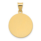 14K Polished / Satin St. Vincent Hollow Medal Pendant