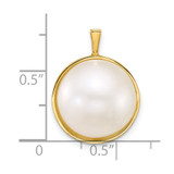 14k Polished 14-15mm Saltwater Cultured Mabe Pearl Pendant